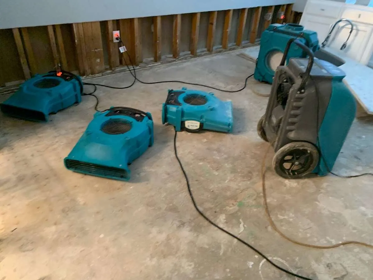 Water Damage Restoration services in Buffalo, MN